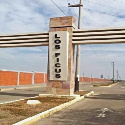 VENTA DE TERRENO DE 120 M2 EN URB. LOS FICUS - PIMENTEL